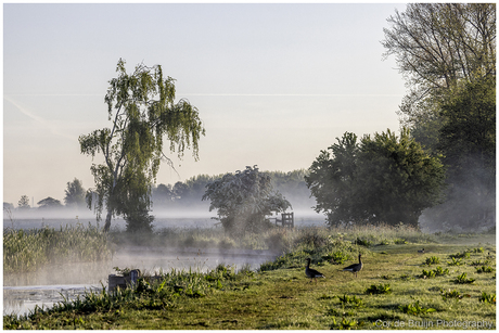 Laaghangende Mist
