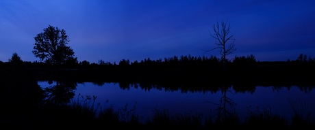 Bargerveen in het donker