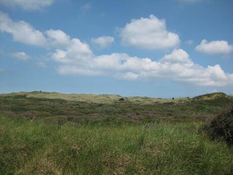 Duinen