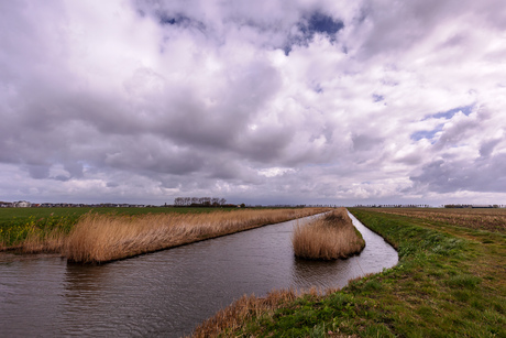 Polder Flakkee