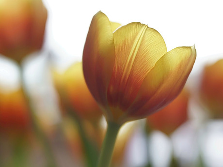 een.........................