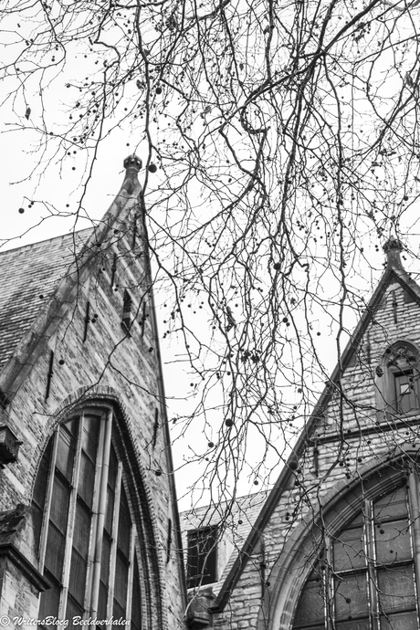 Gouda - natuur in de stad