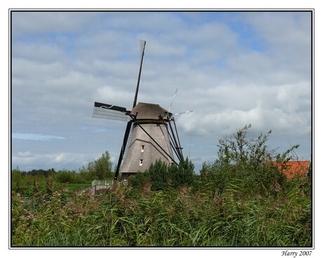 Hollands landschap