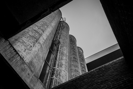 Rotterdam, Katendrecht