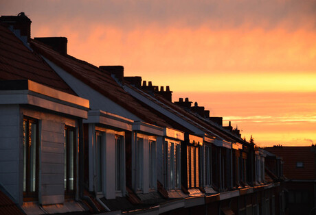 Rooftops in the early morning