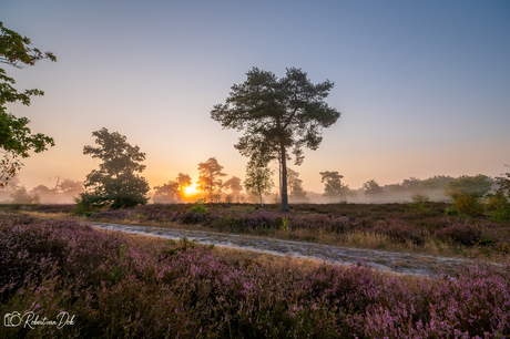 Zonsopkomst 15 augustus