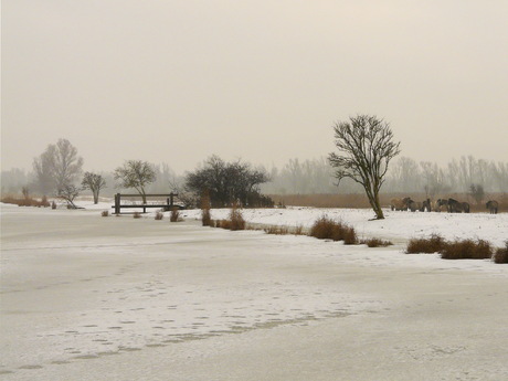 Uit het archief 2010.