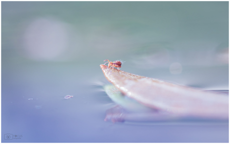 Row, row, row your boat! 🎵🎶🎵