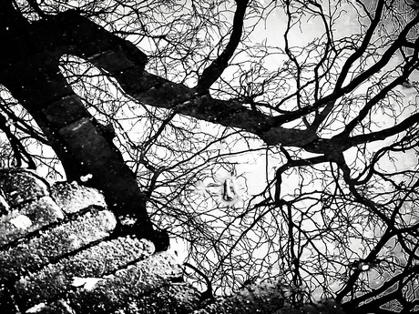 Artistic reflection 04