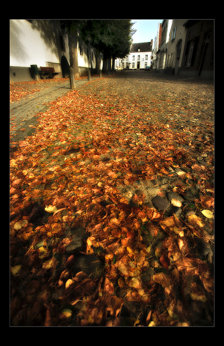 Herfstbladeren .....