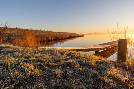 Gouden winters landschap 