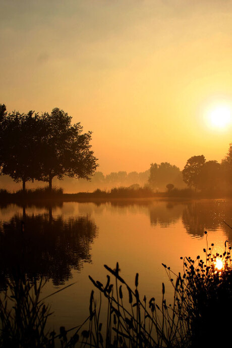 Ochtendgloren aan de Amstel