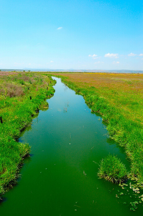 green river