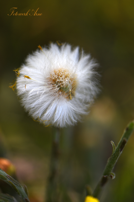 als mijn haar maar goed zit
