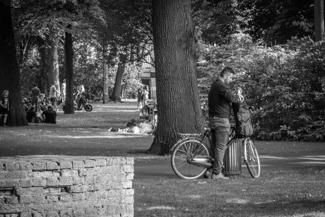 Contrast in het park