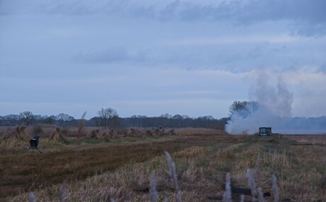 Werken in het riet