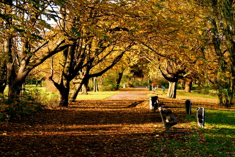 Vroesenpark herfst