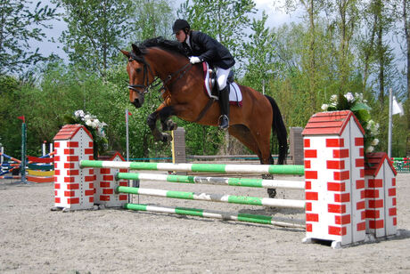 springpaard in aktie