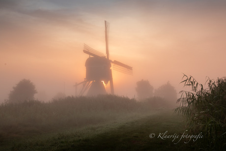 Molen in de schijnwerpers