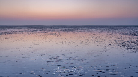 Het licht bij zonsopkomst op het wad