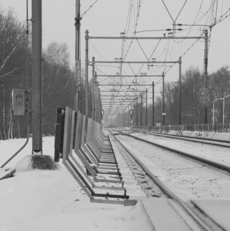 Spoor in sneeuw