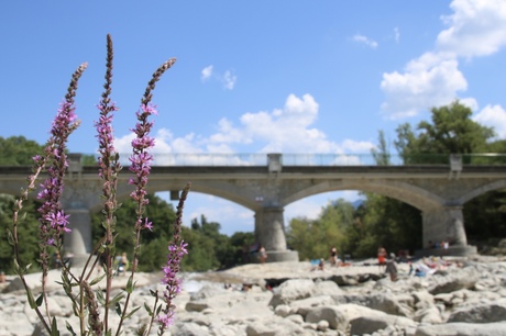 Dromerig plaatje aan de Drôme