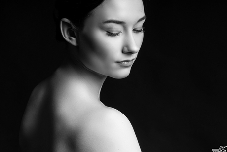 Prachtig portret van Beau