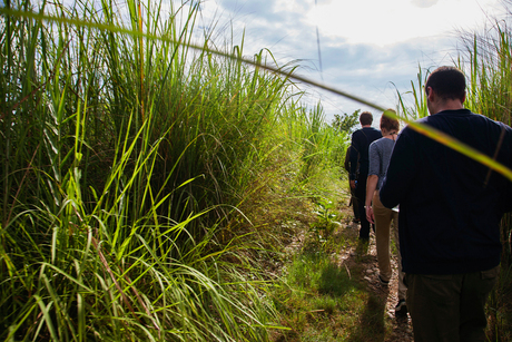 Wandeling door Nepalese moerassen