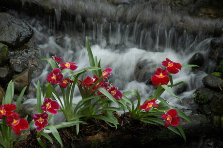 waterval