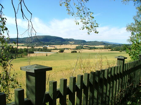 fields of gold