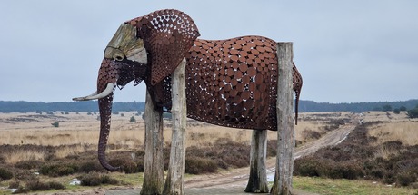 Kunst op de hei