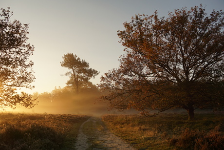 Het wordt licht