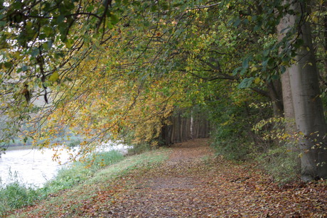 herfst 2009