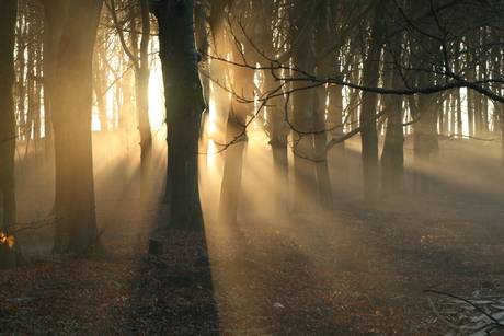 Zonsopgang landgoed Warnsborn