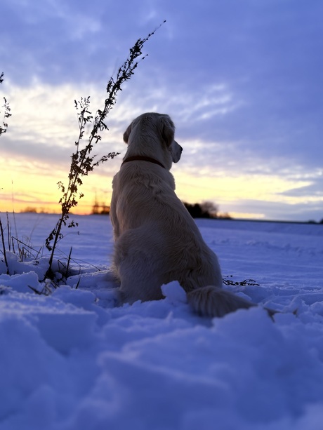 Lieve Jade in de sneeuw 