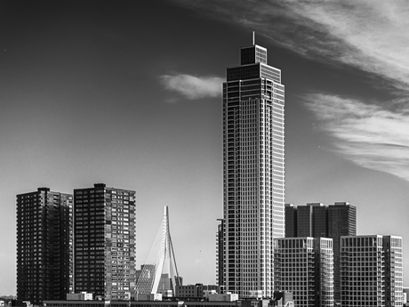 Skyline Rotterdam