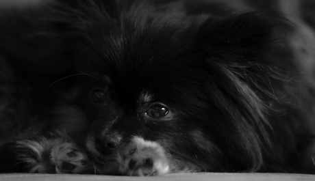 Kali B&W