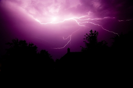 Purple Thunder
