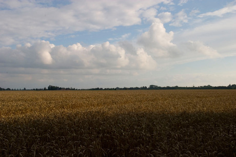 Lucht boven Zeerijp.