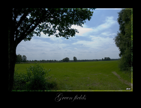 Green fields