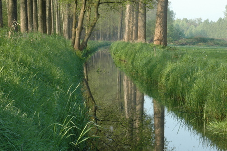 Weerspiegeling