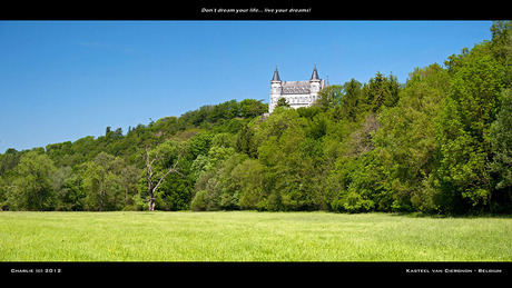 Kasteel van Ciergnon 02