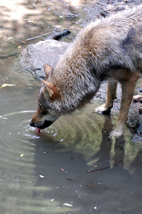 ik ben lekker aan het water te drinken