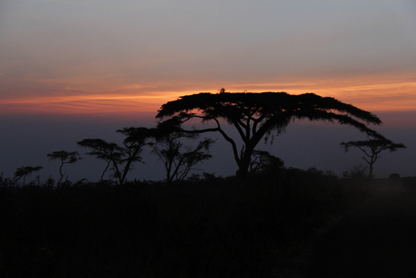 Avond Tanzania