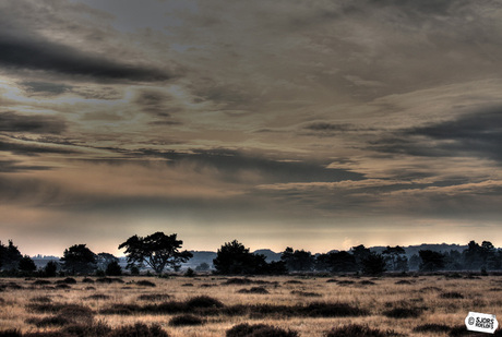 De hoge veluwe 1