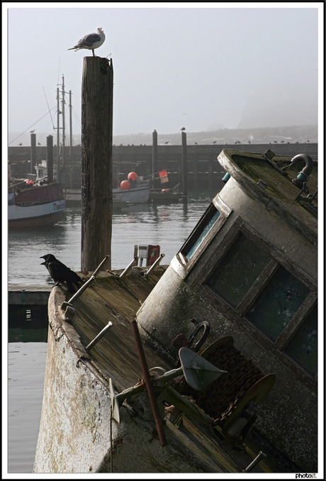 La Push Harbour, Washington State