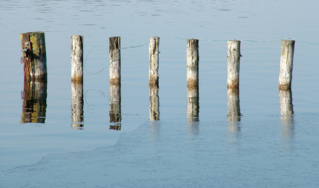 Als een paal boven water.