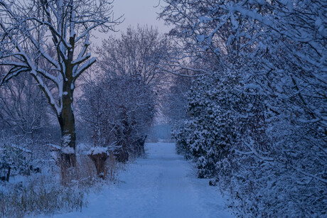 wandelpad in de sneeuw