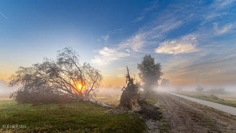 Dwingelderveld 