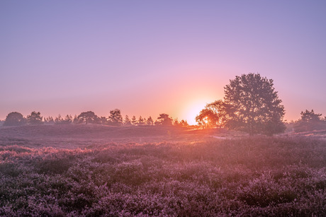 Zonsopkomst op de heide bij Heerde